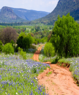 Texas Hill Country