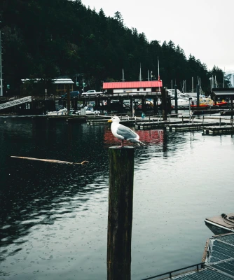 Horseshoe Bay