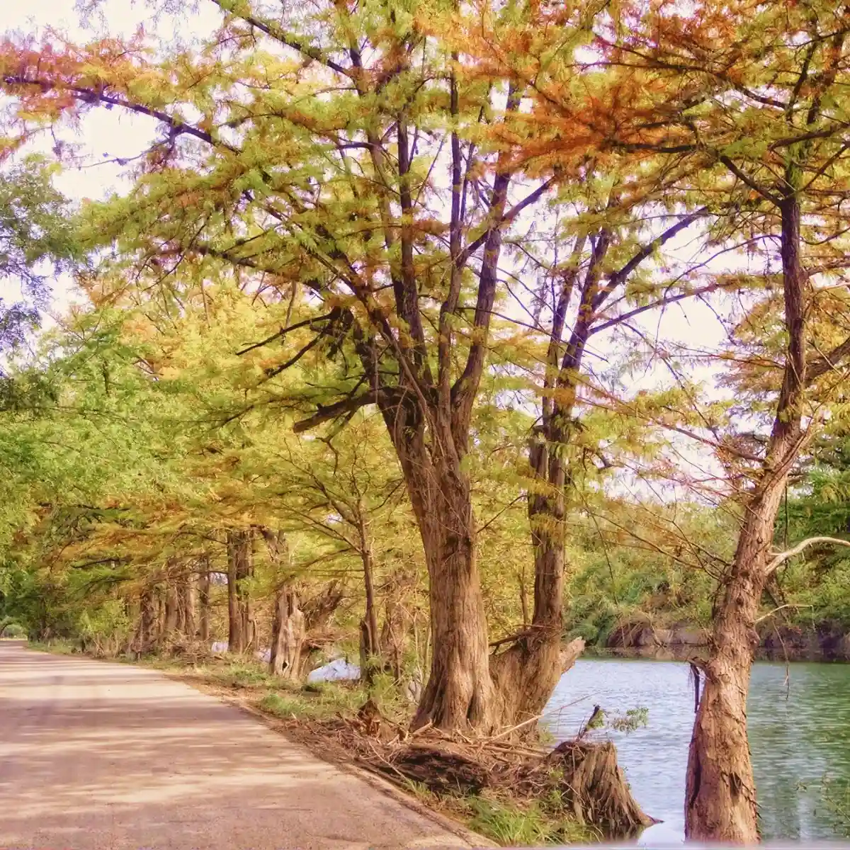 Wimberley