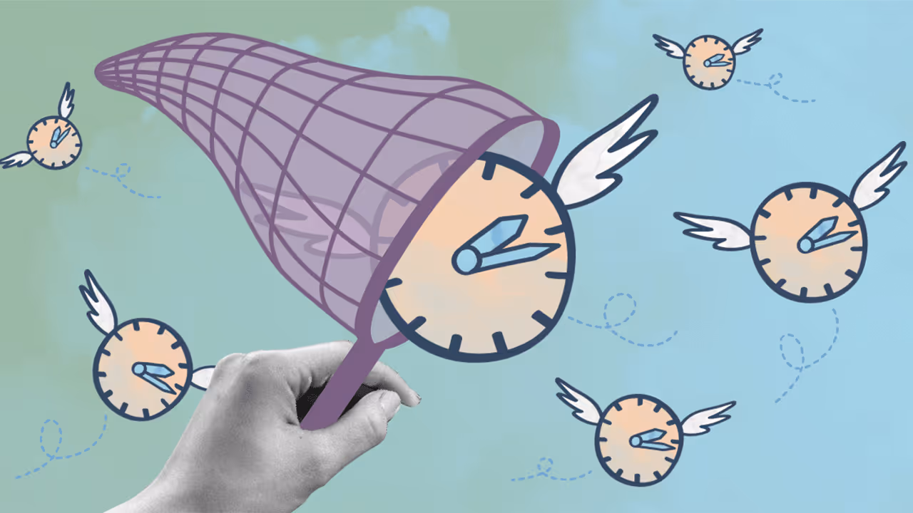 An illustration showing how hard it is to save time through the metaphor of a bug net. It is pleasant.