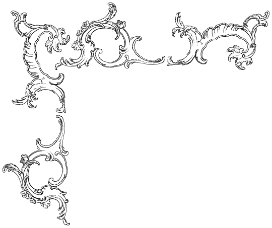 Ornate, baroque vintage-style rectangular frame with intricate, swirling floral and leaf patterns in each corner and along the edges, leaving a blank center for text or an image. The design is elegant and decorative.