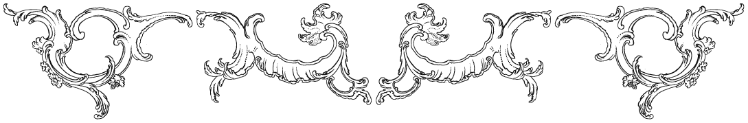 Ornate, baroque vintage-style border with intricate, swirling floral and leaf patterns the edge. The design is elegant and decorative.