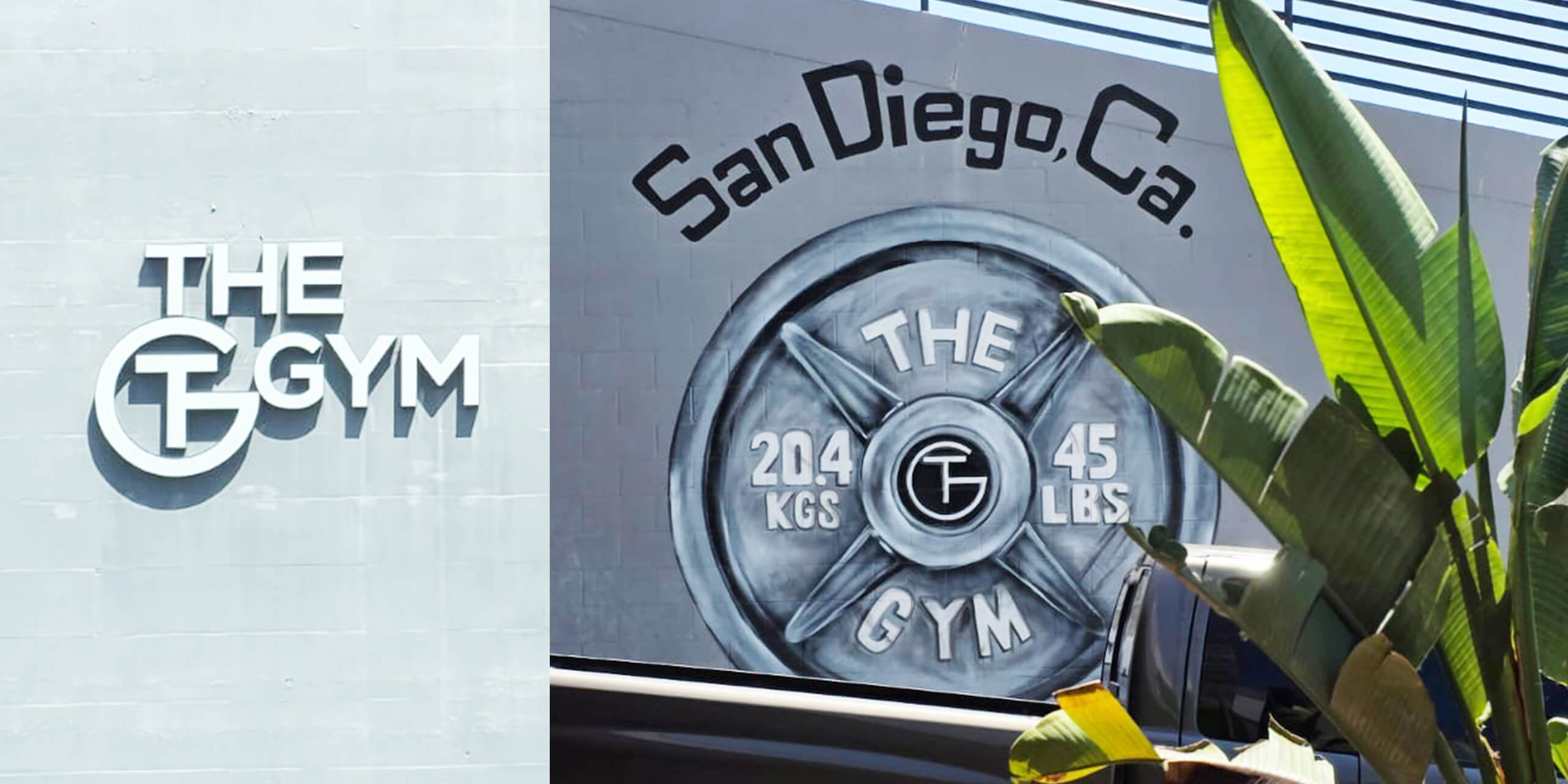 Rooftop Trainingsfläche mit Palmen und Blick aufs Meer im The Gym San Diego – Beispiel für starkes Fitness Branding.