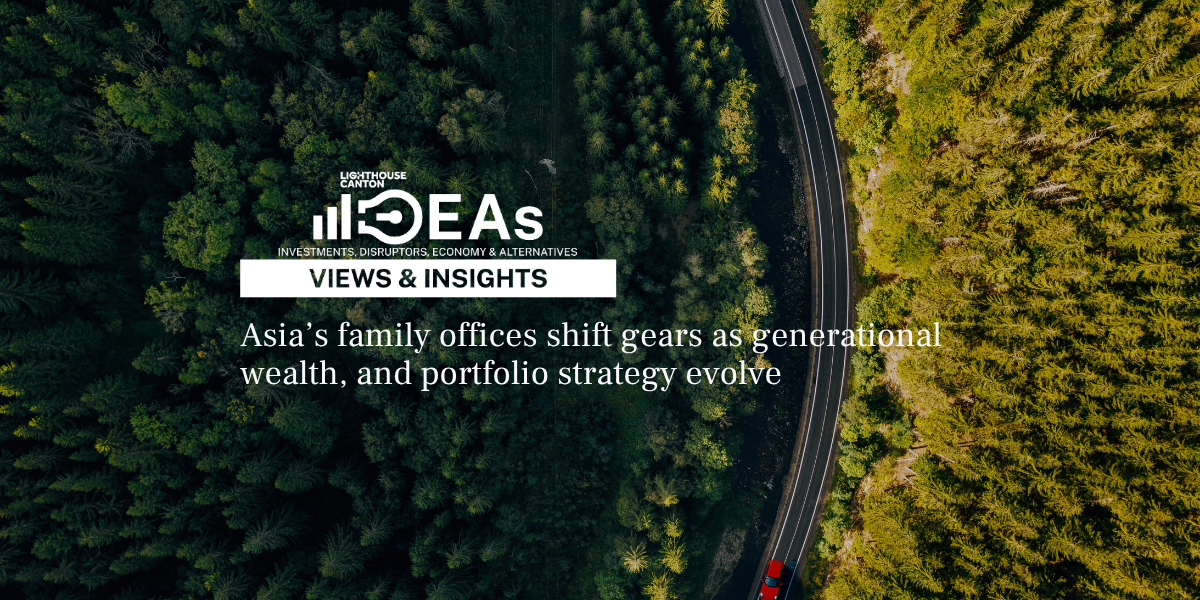 Lighthouse Canton logo, aerial view of dense forest.