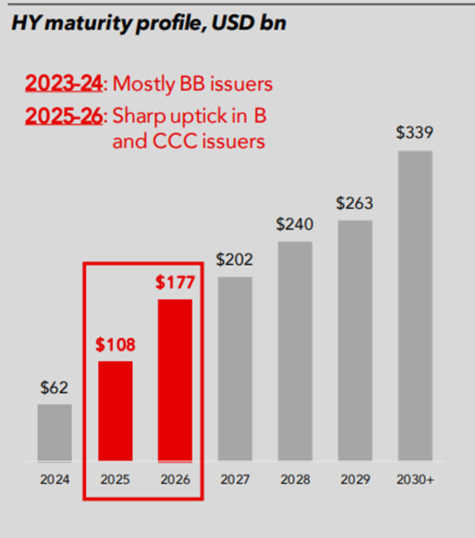 Stacked bar chart showing issuer growth in billions USD from 2024 to 2030+.