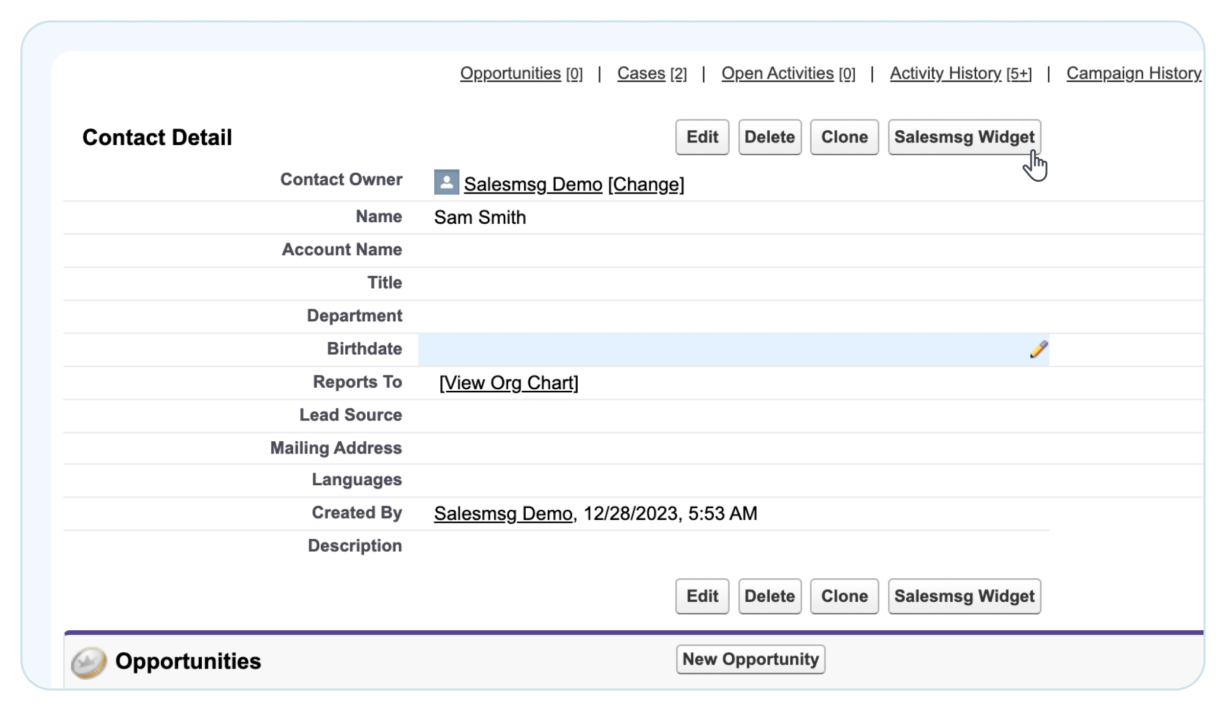 salesmsg widget to add in salesforce platform