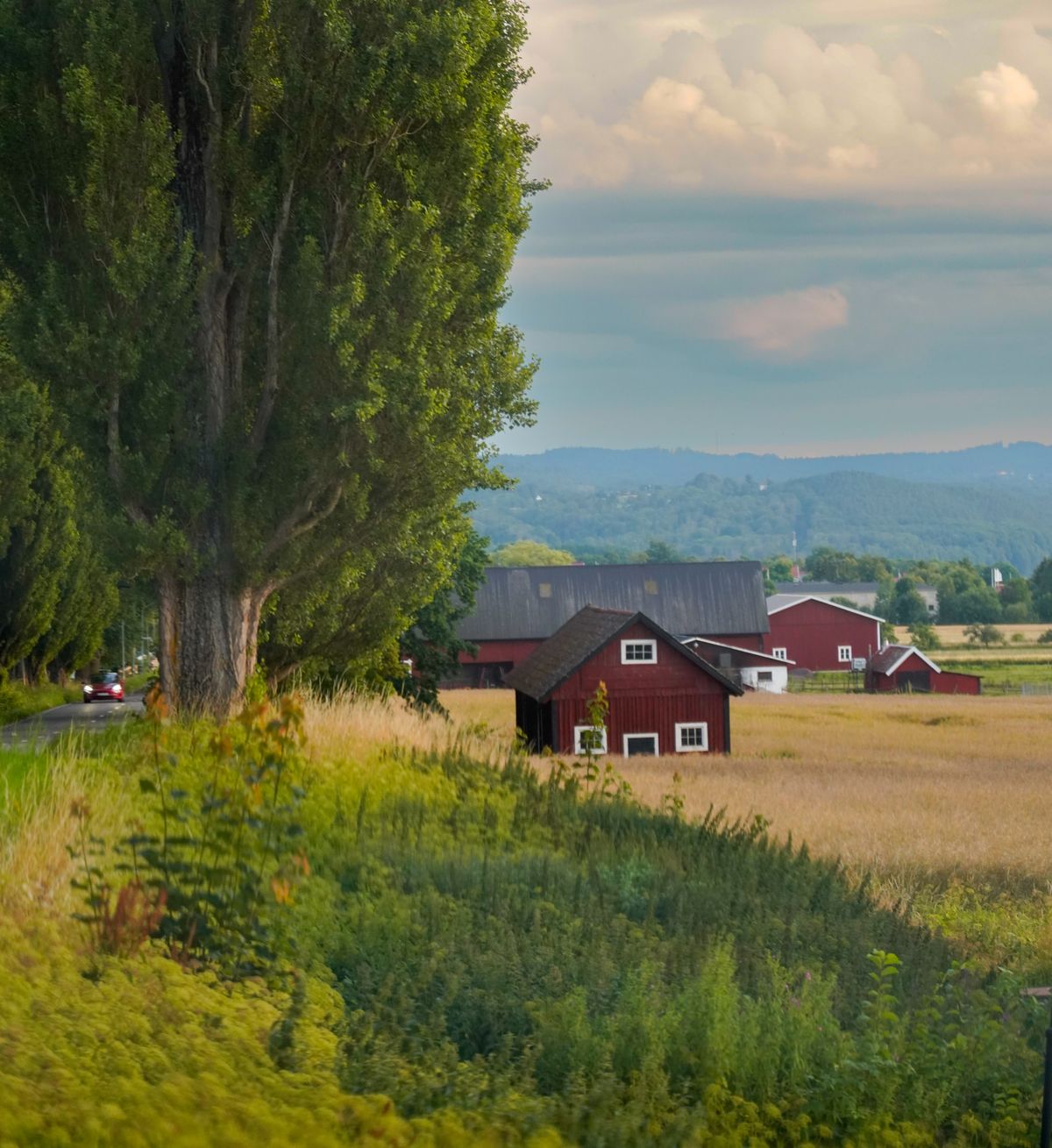 Bauernhof mit roten Scheunen im Grünen