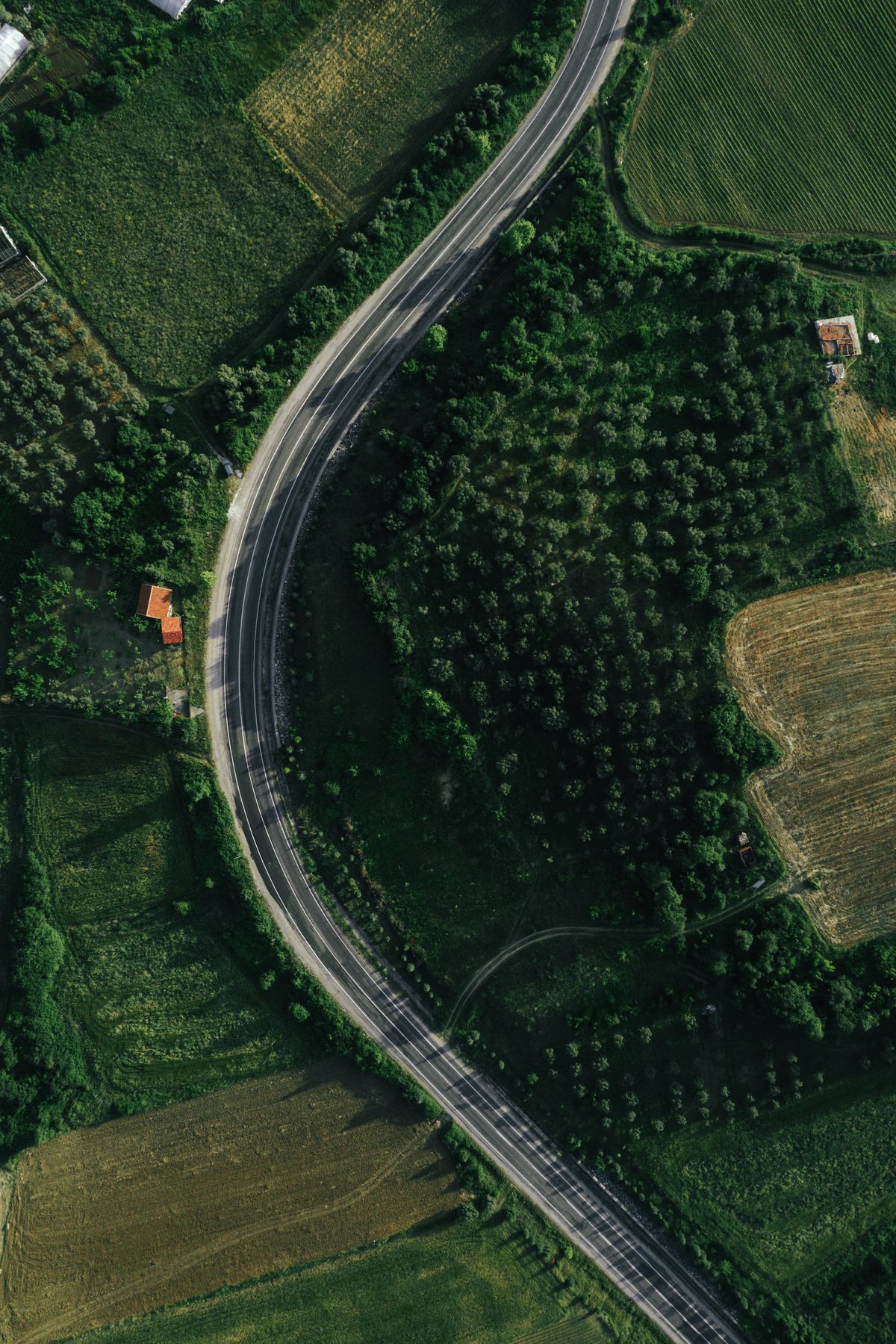Strasse durch grünes Kulturland aus der Vogelperspektive