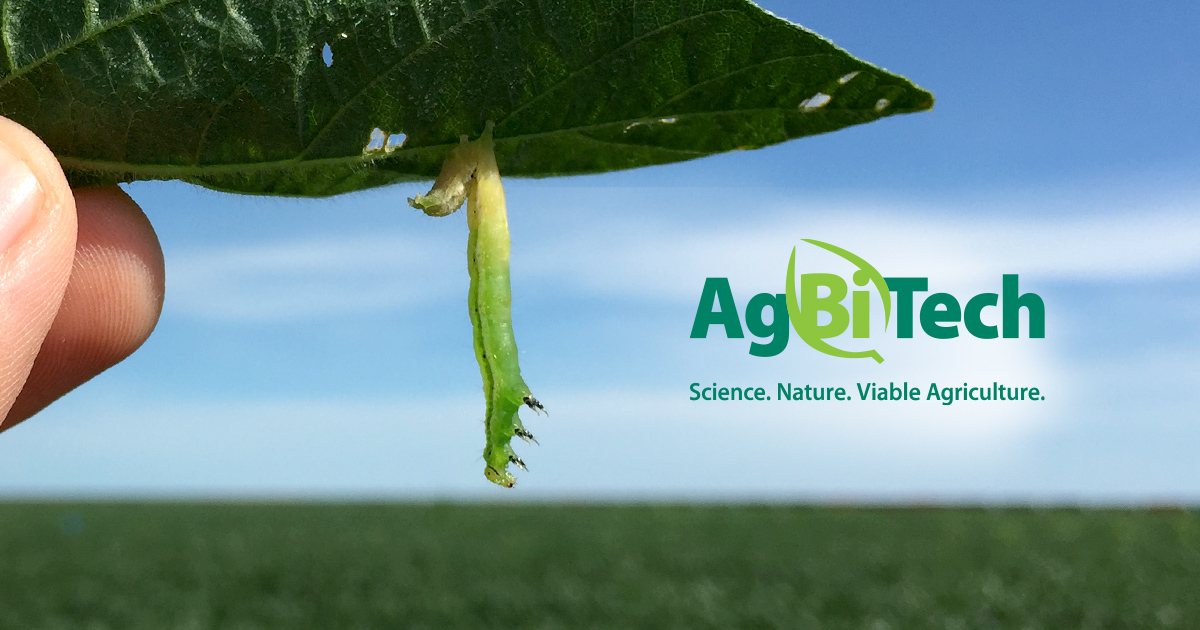 AgBiTech | We Specialize in Lepidoptera Control