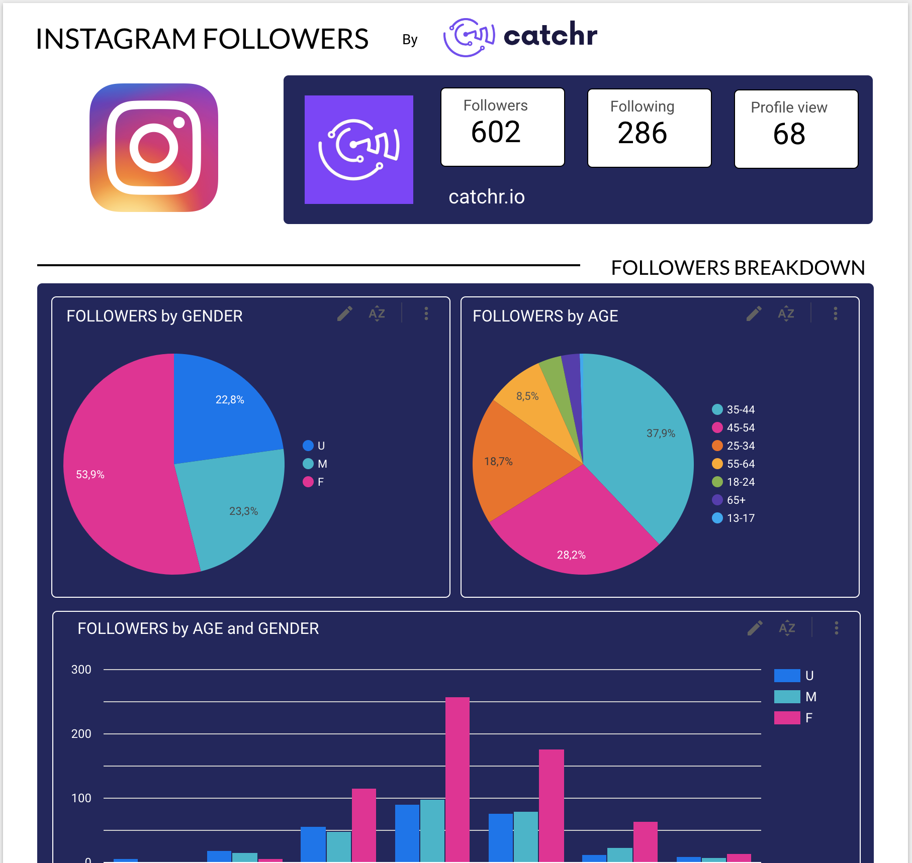 Screenshot of a Looker Studio report showing follower growth trends, retention, and audience insights.