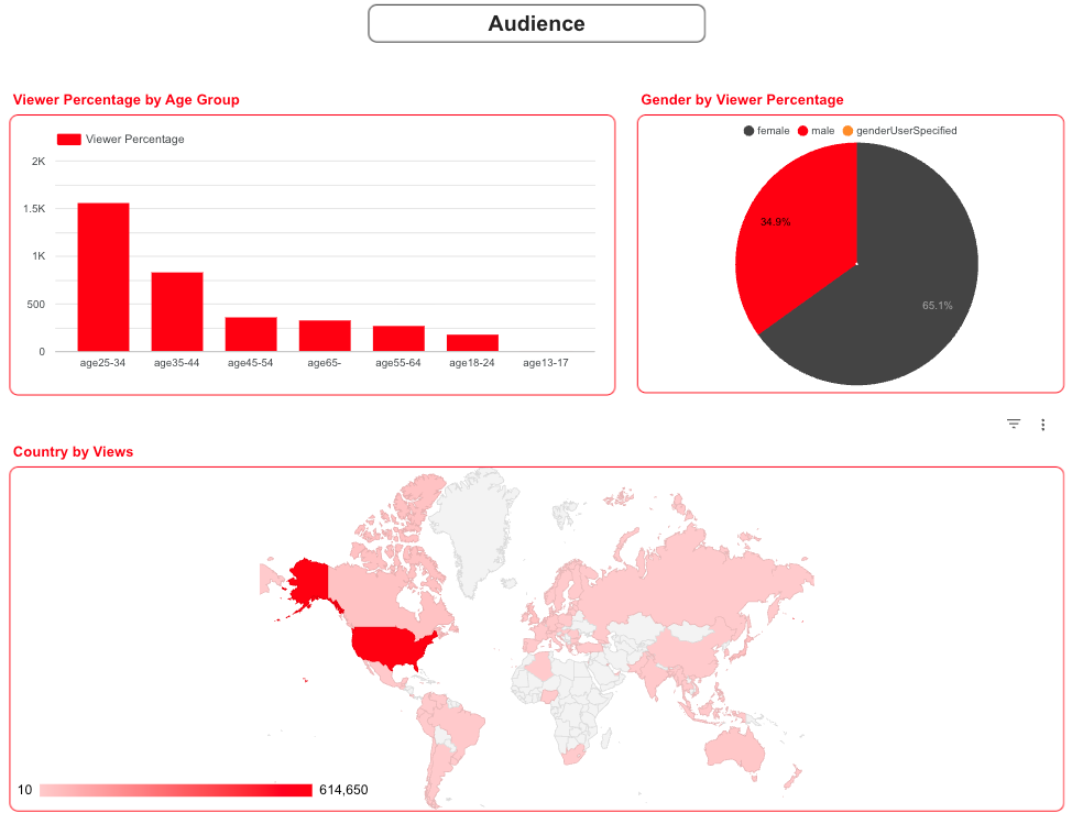 Looker Studio audience dashboard showing bar chart by age groups, pie chart of gender distribution, and world map of viewers by country.