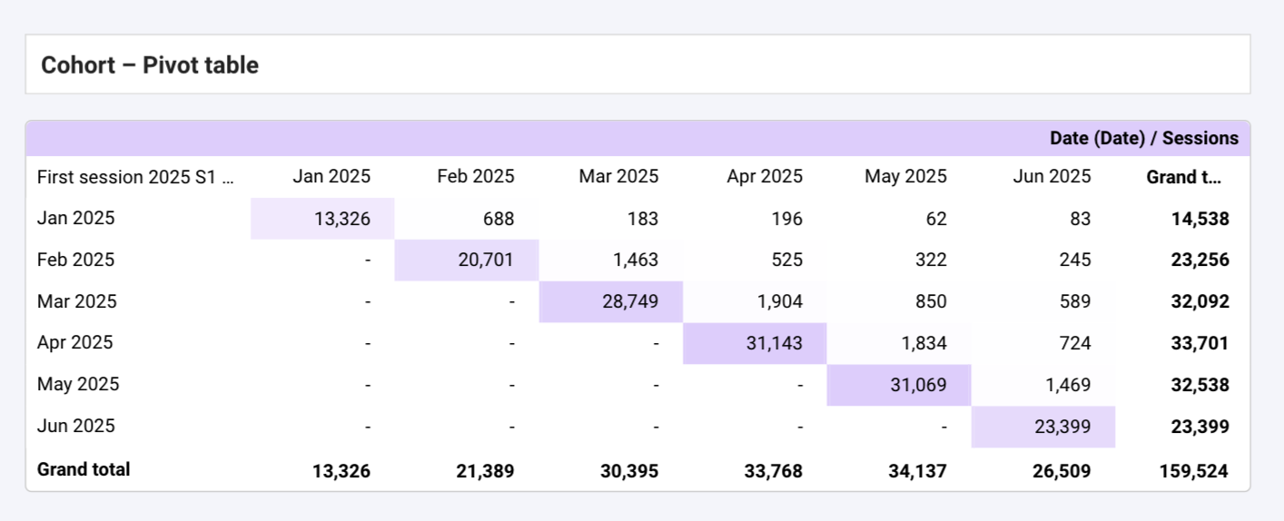 Looker Studio cohort pivot table showing monthly user cohorts from January to June 2025 with session counts across subsequent months.