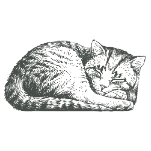Marley Hall - Sleeping Cat  Icon