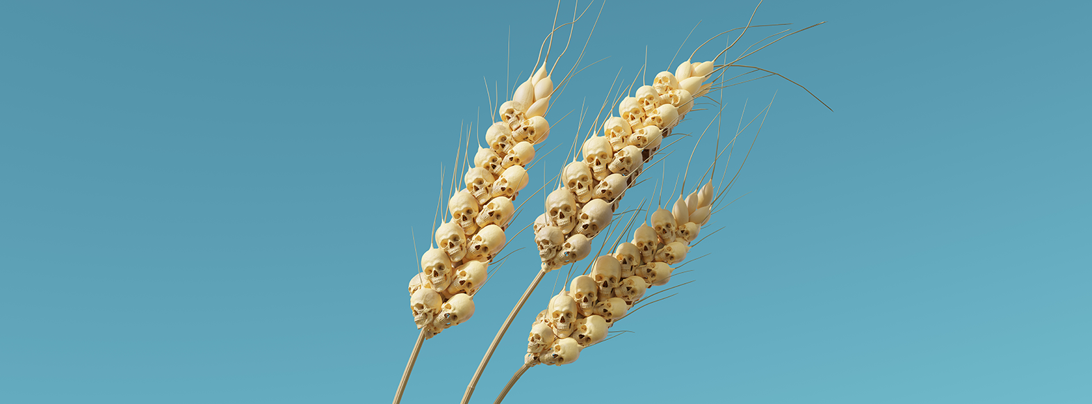 The coming food catastrophe