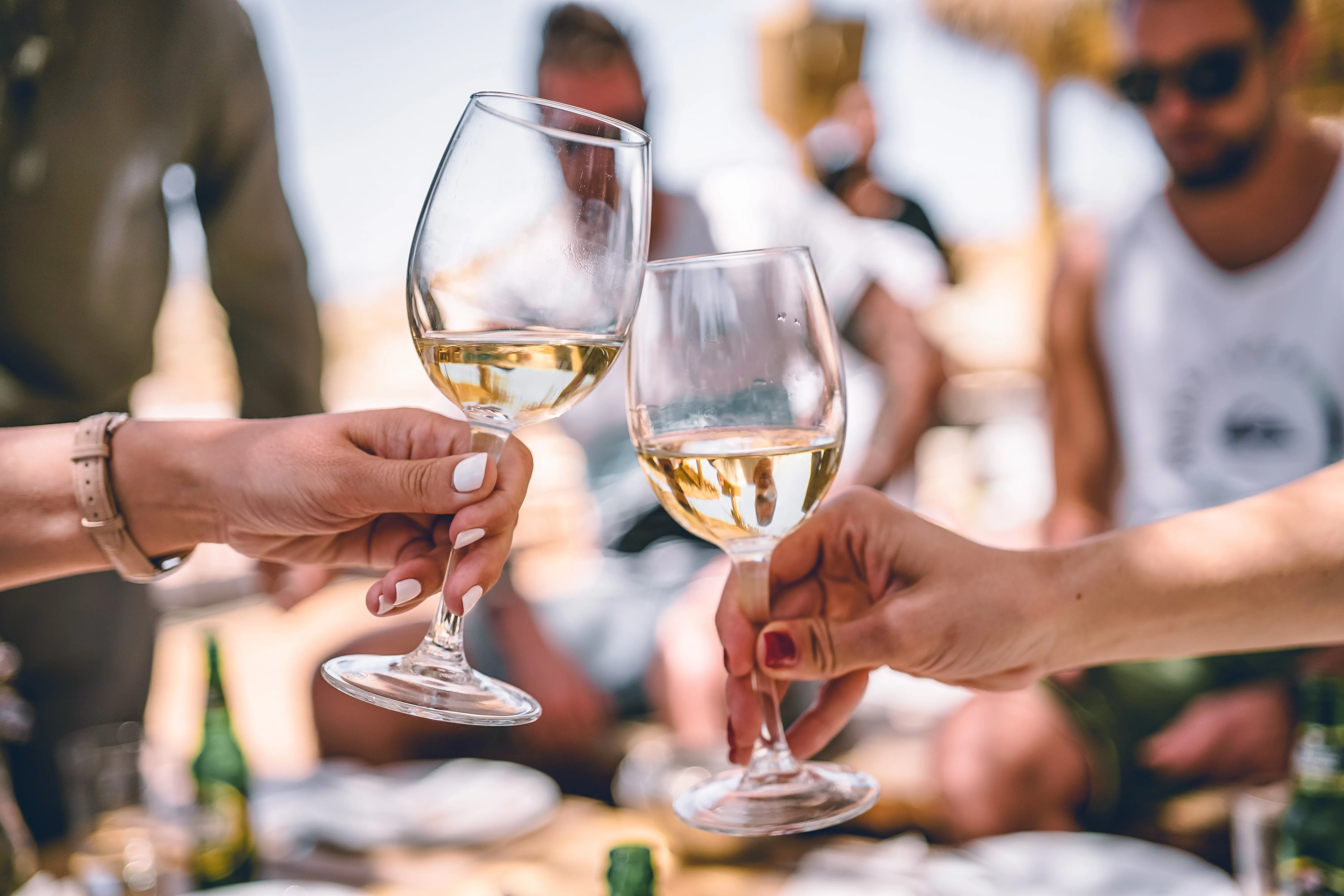 Best Wine Tasting Venues in Sonoma