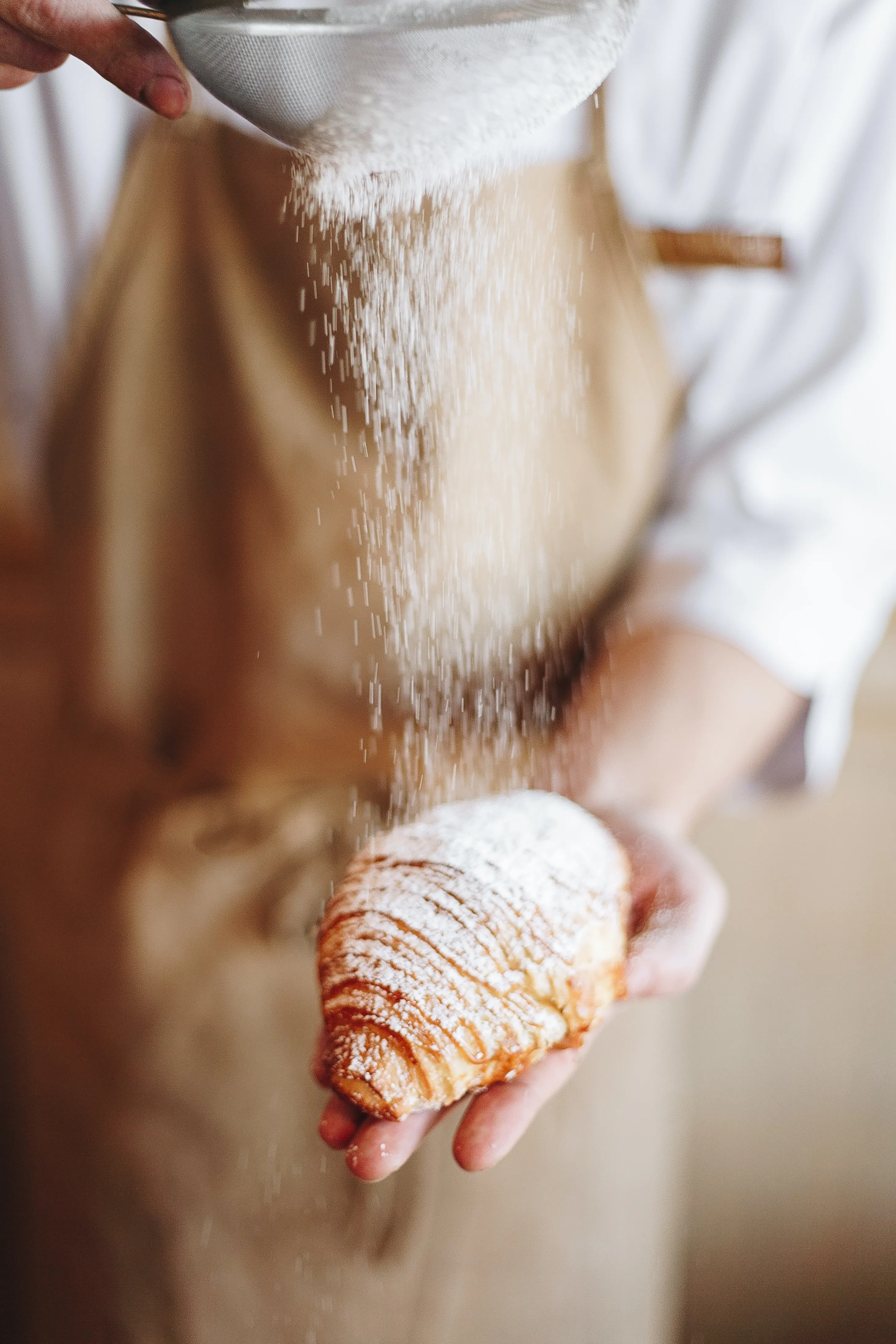 Best Cooking Classes in Boston