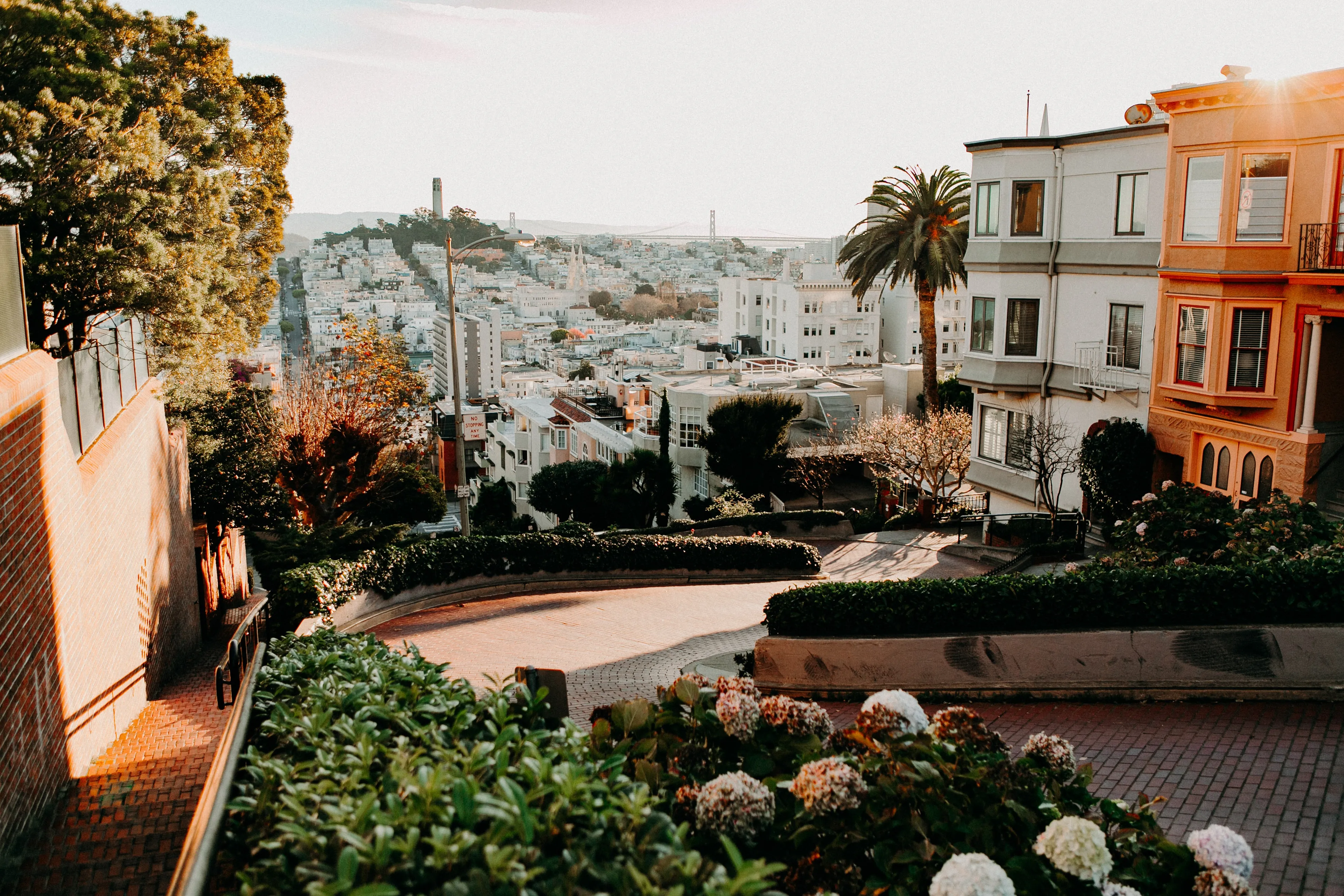 Unforgettable Holiday Dinner Menu Ideas in San Francisco