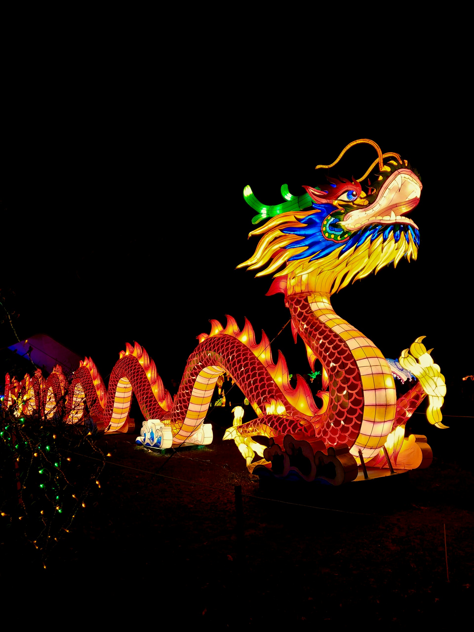 Celebrate Chinese New Year with Themed Cooking Classes