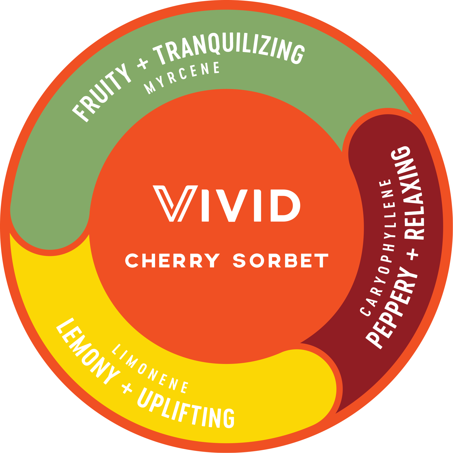 THC + TERPENE INFO ➞