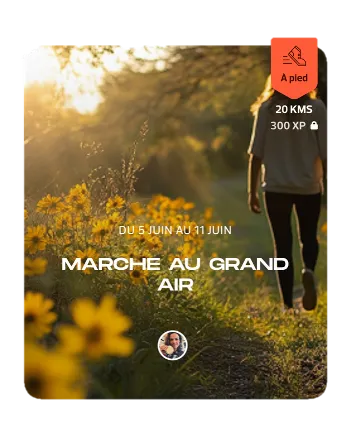 Challenge d'activité physique - saison Carnet de voyage