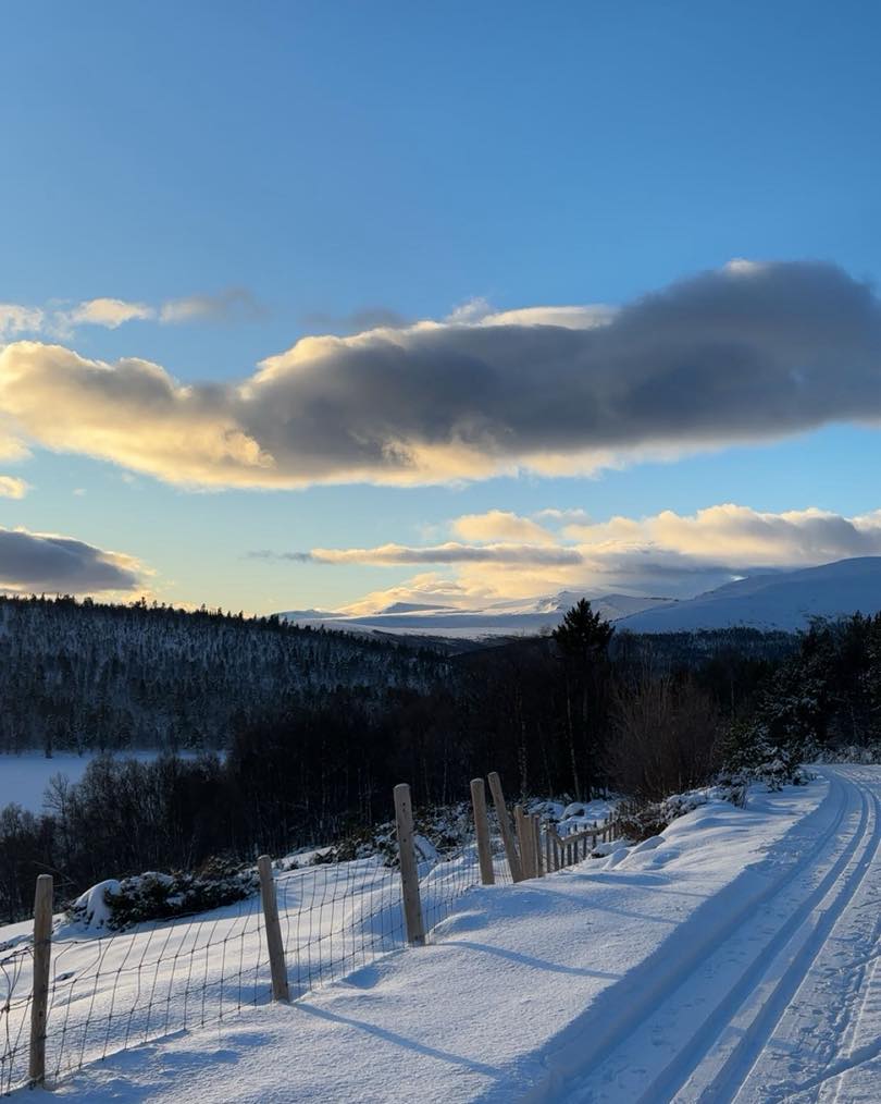 Skiføre! På Lemonsjøen er det kvitt - både i alpinbakken og skisportet! E du på vei?!
Vi har åpent i romjula!