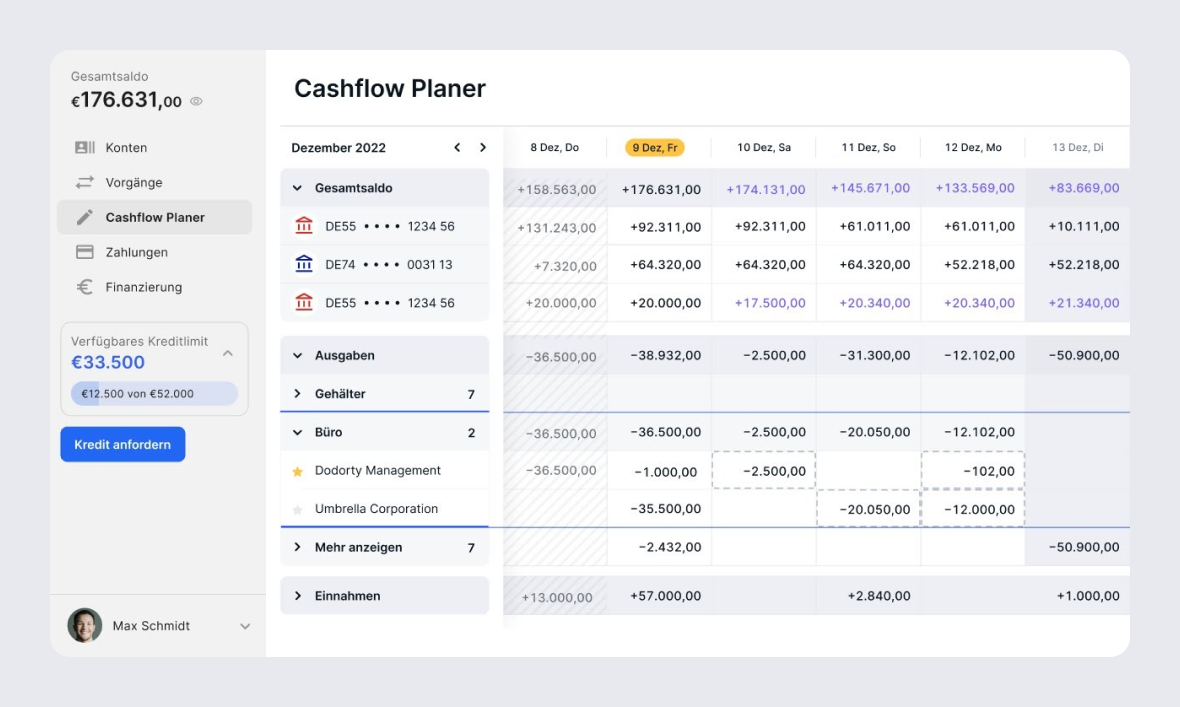 puls-cashflow-planer