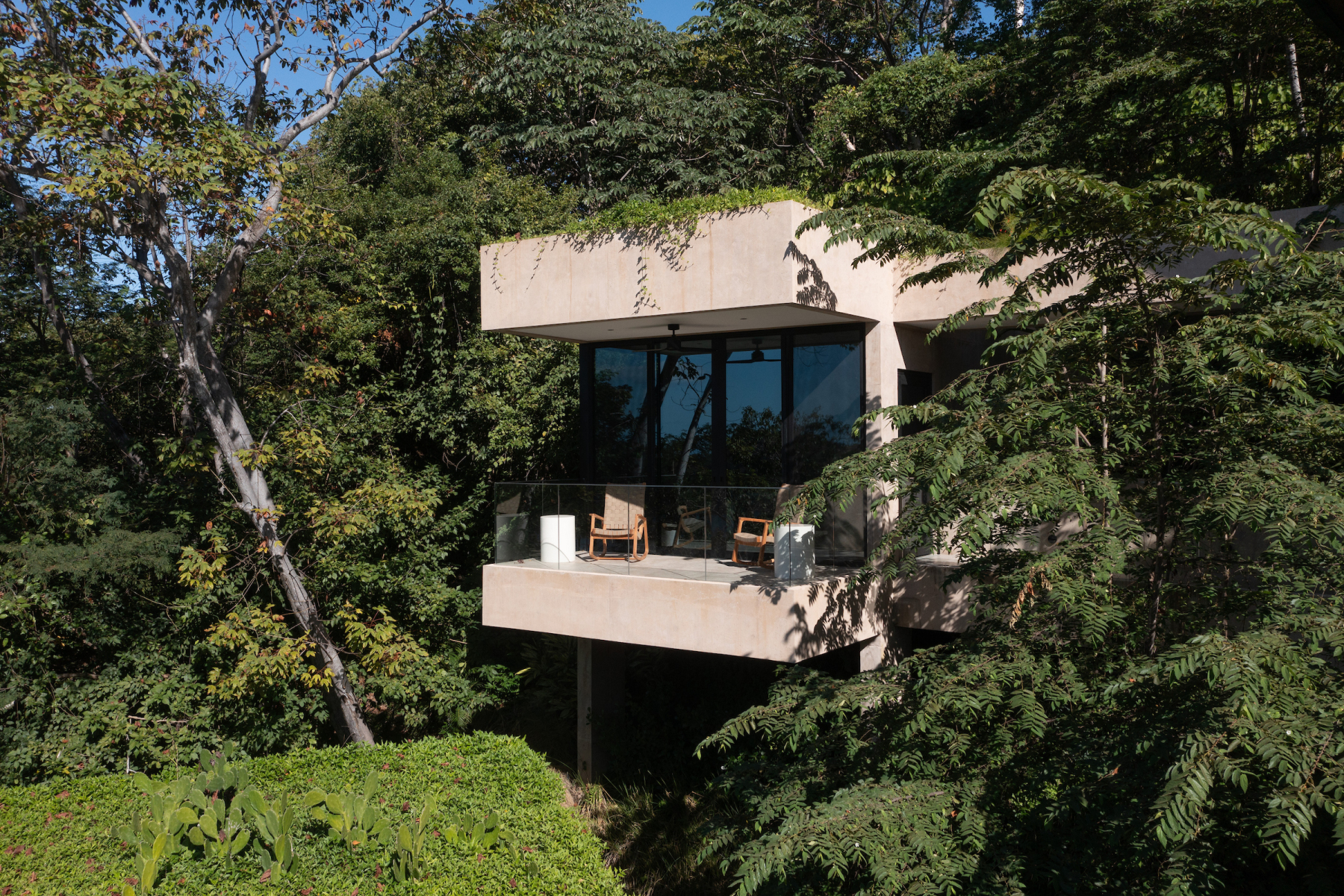 Cantilevered balcony surrounded by tropical forest
