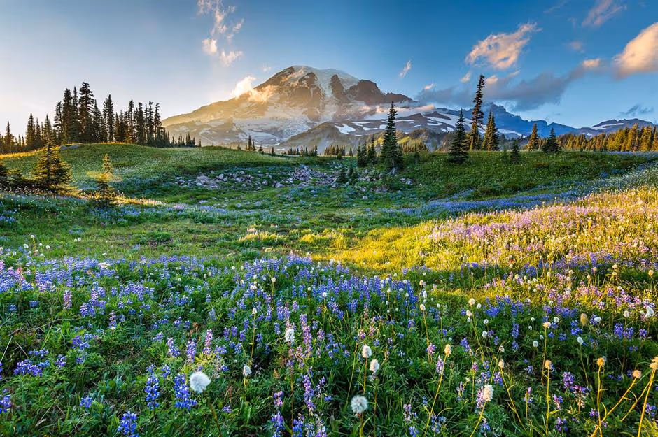 view of mountains and a field