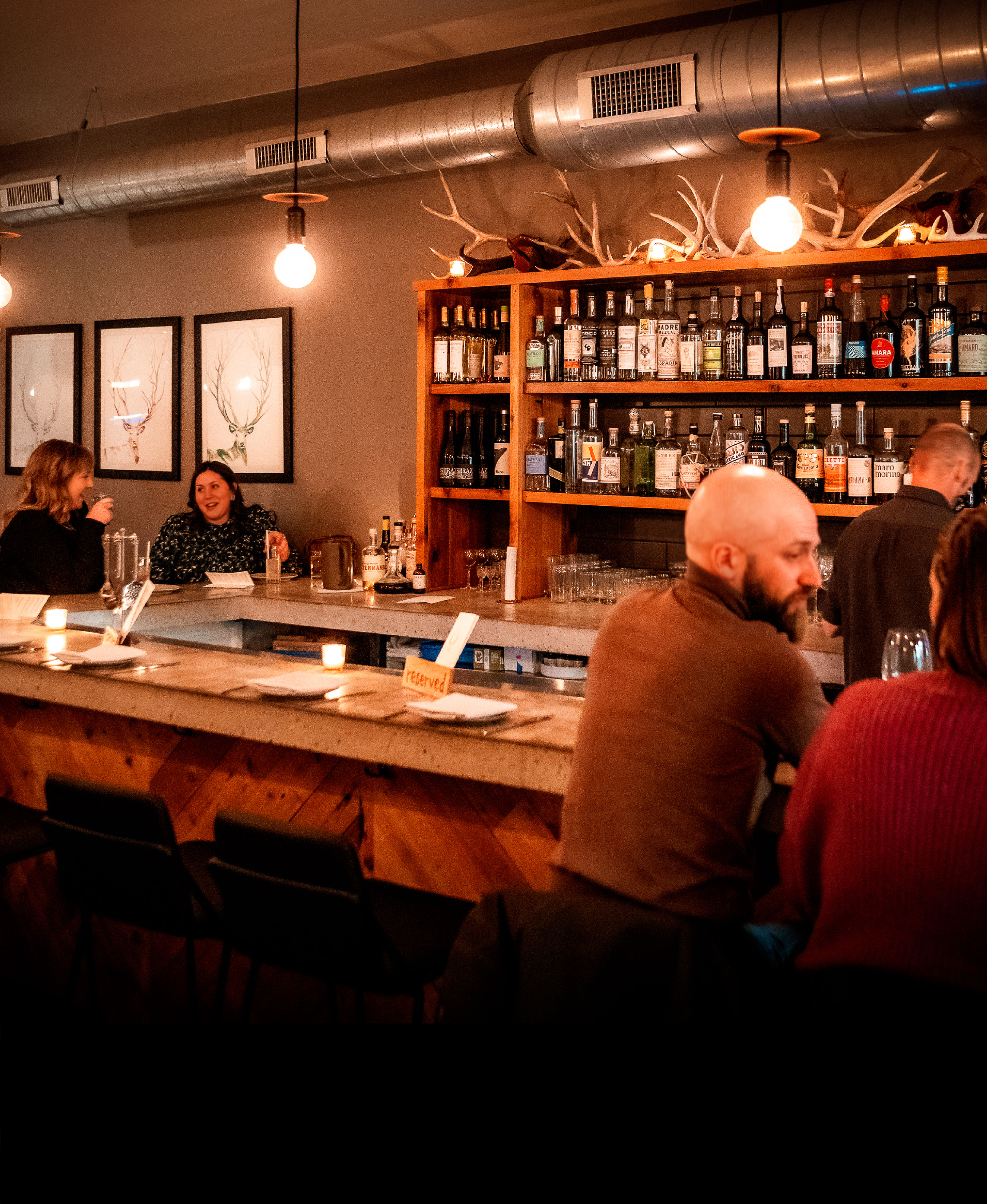 Bar area at The Antler Room.