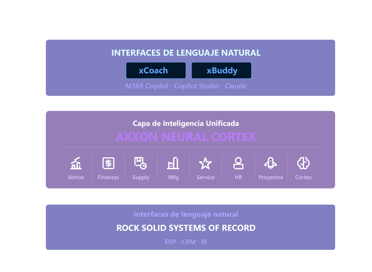 Neural Cortex Finance Visualization
