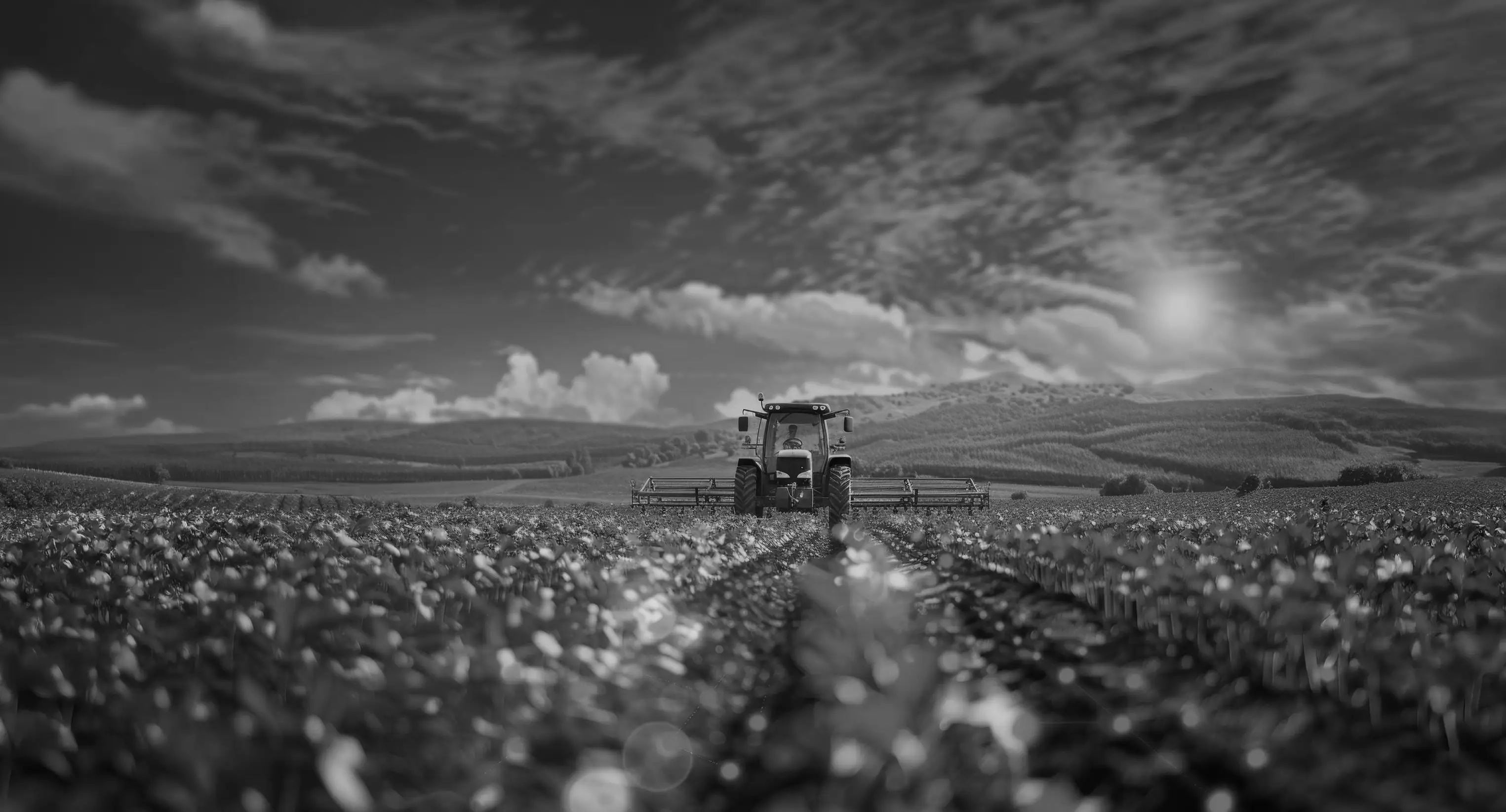 Agro background