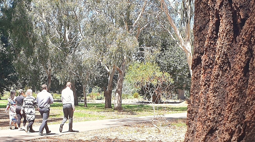 Walking through Carriageway Park / Tuthangga (Park 17)