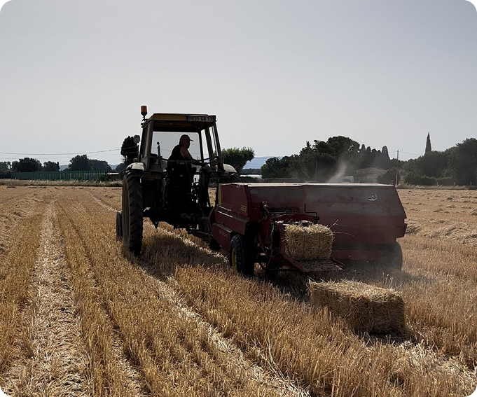 Le grand-père agriculteur sur son tracteur travaillant les champs
