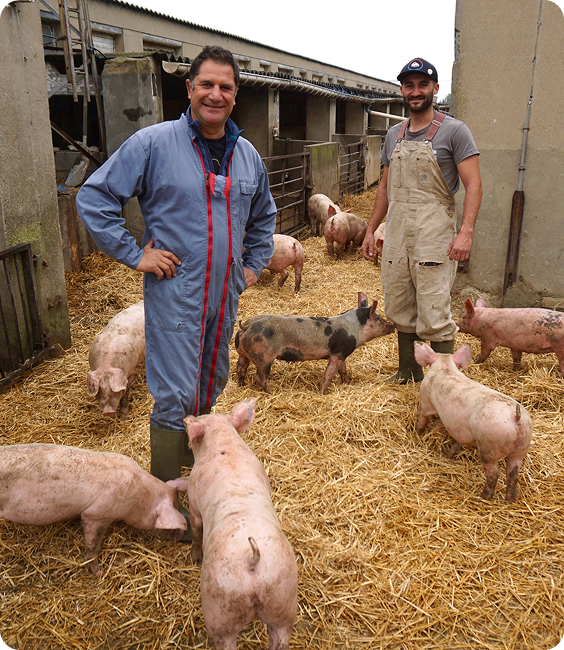 vincent et olivier, souriants, entourés de leurs cochons