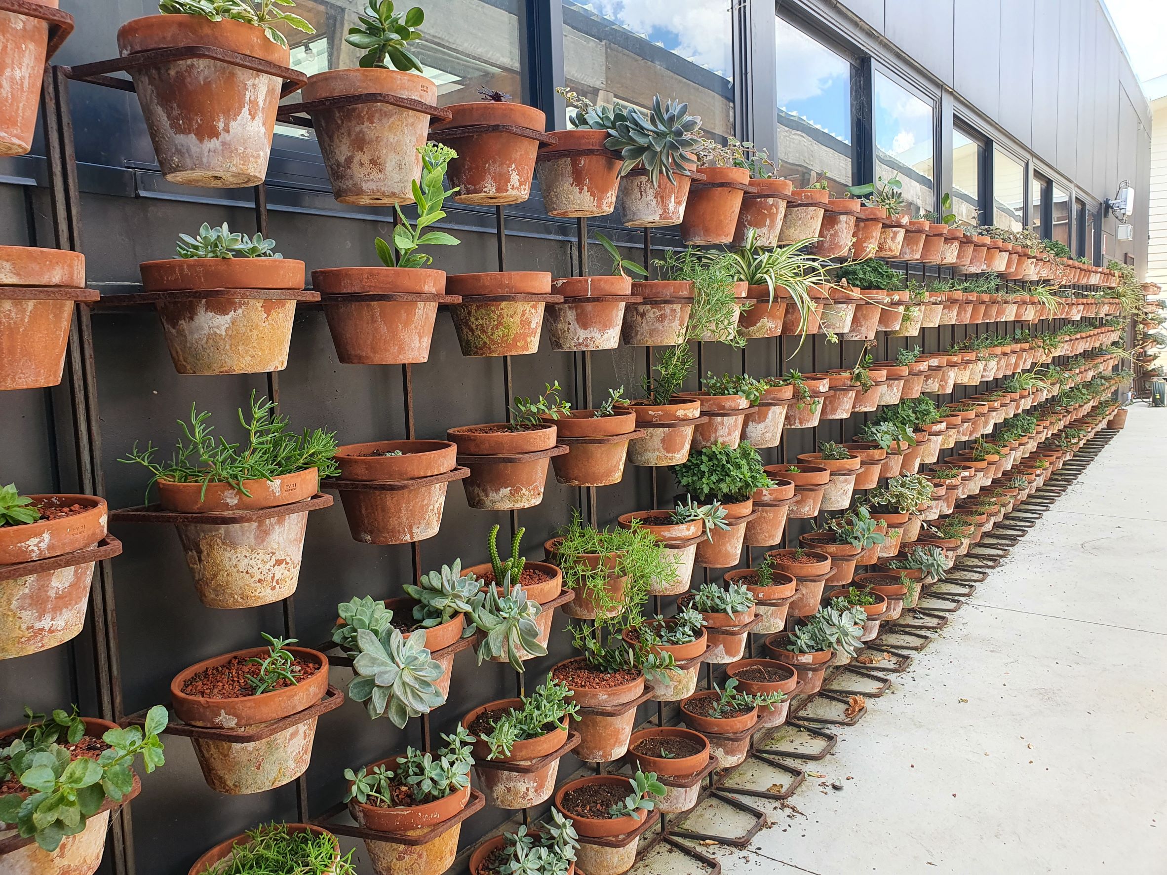 Wall of terracotta planters with succulents 
