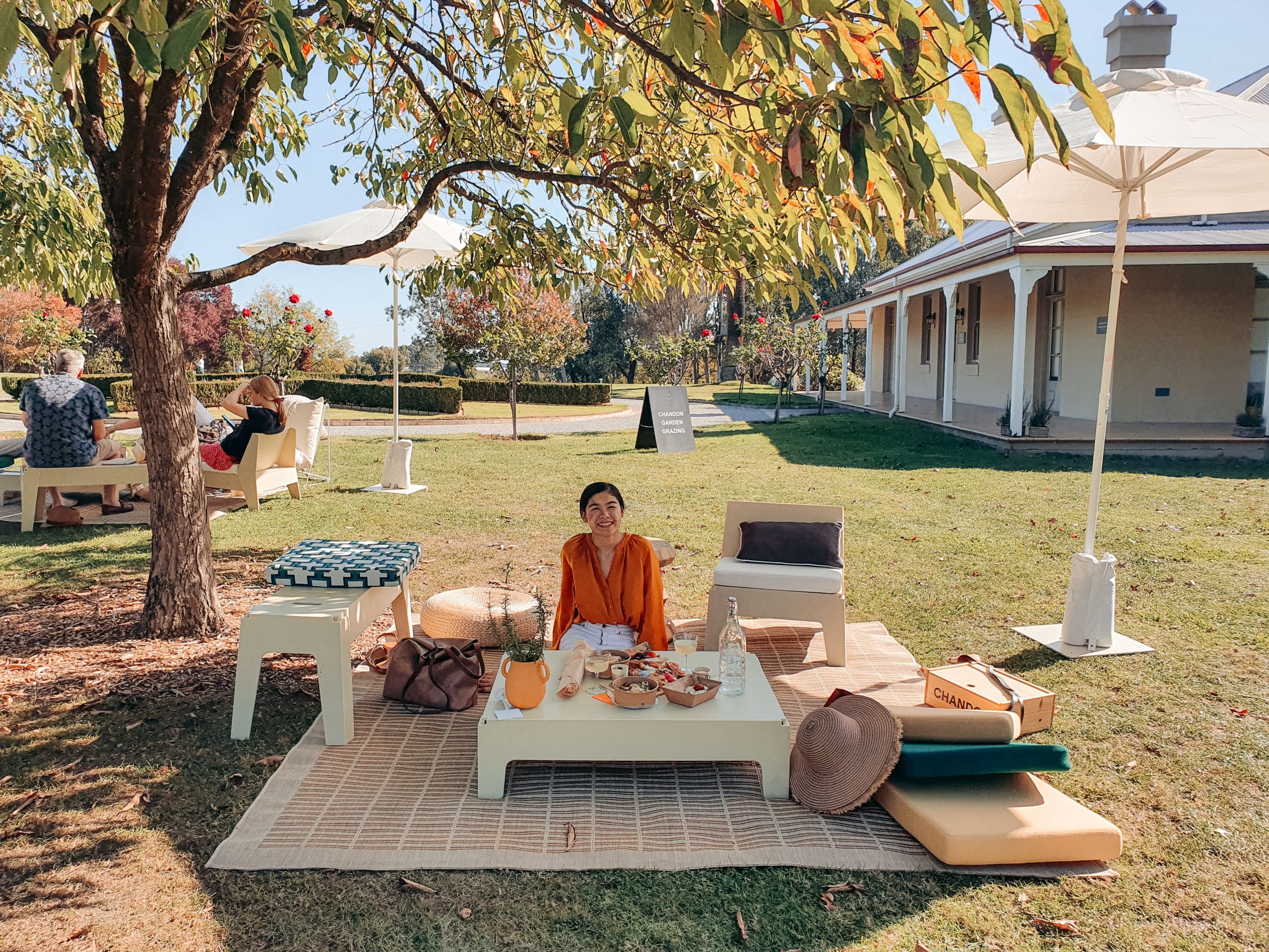 Picnic set up under a tree