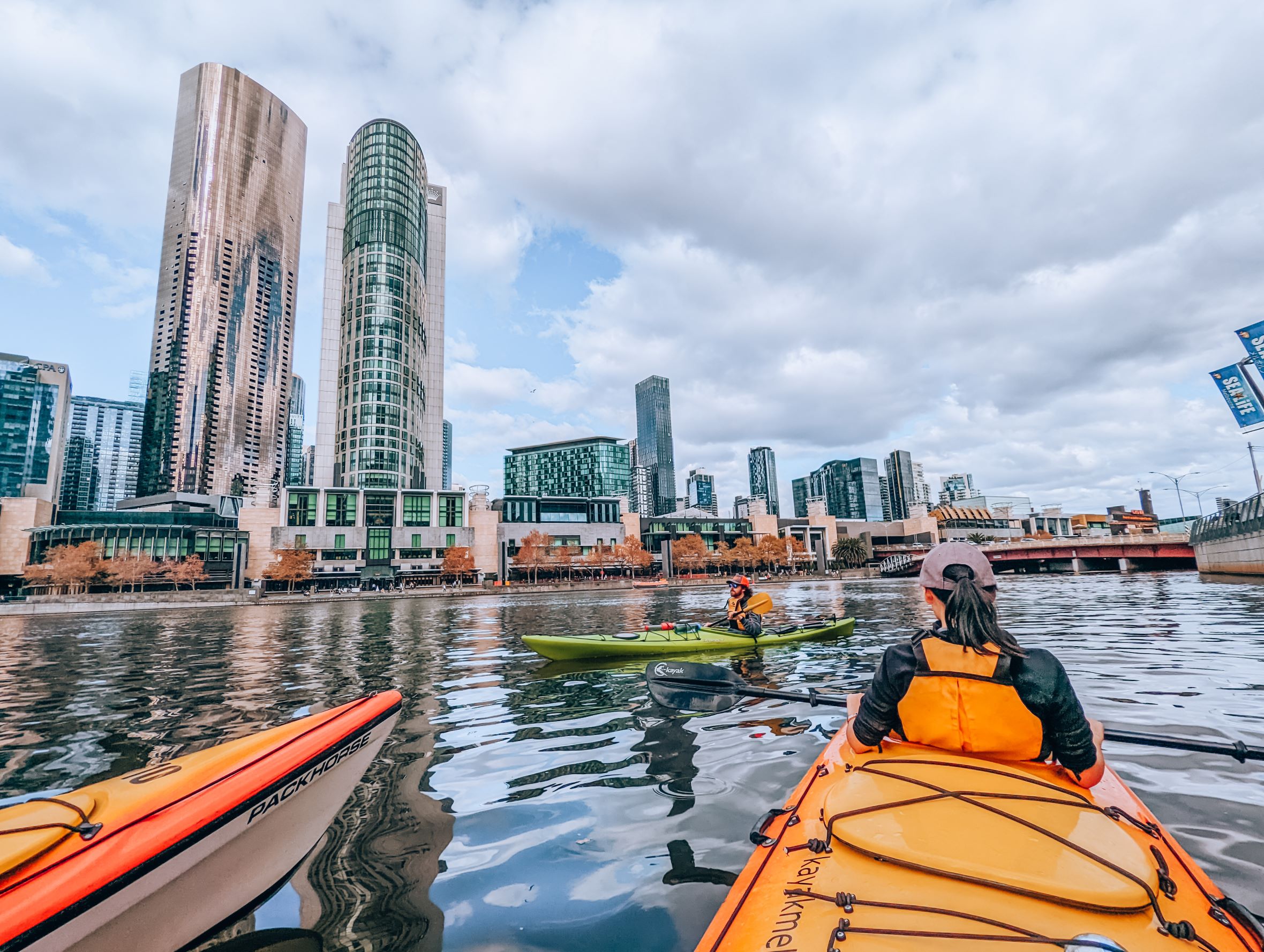 Jasmine on a wooden door
