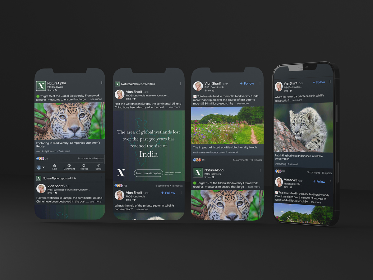 Mockup of the social media kickstart for Nature Alpha.