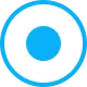 Circle with the centre filling in blue to show this item is selected and active