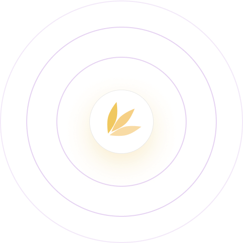 spring-studio-mark-in-round-shapes