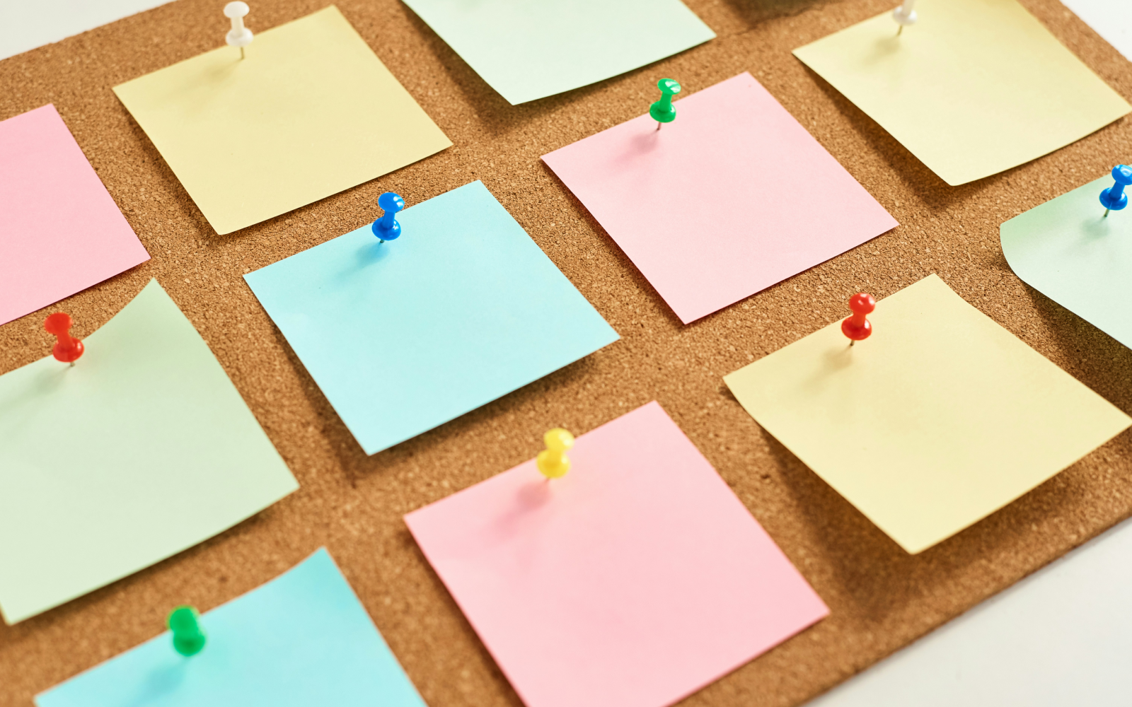 Brandboom will transform your wholesale business|Brandboom will transform your wholesale business