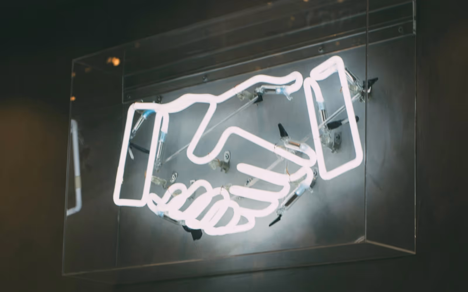 Brandboom will transform your wholesale business