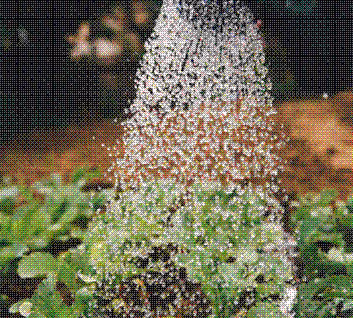 Water pouring from a watering can over green plants and soil outdoors.