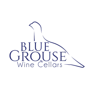 Kambo Energy logo with abstract colorful shapes above the text.