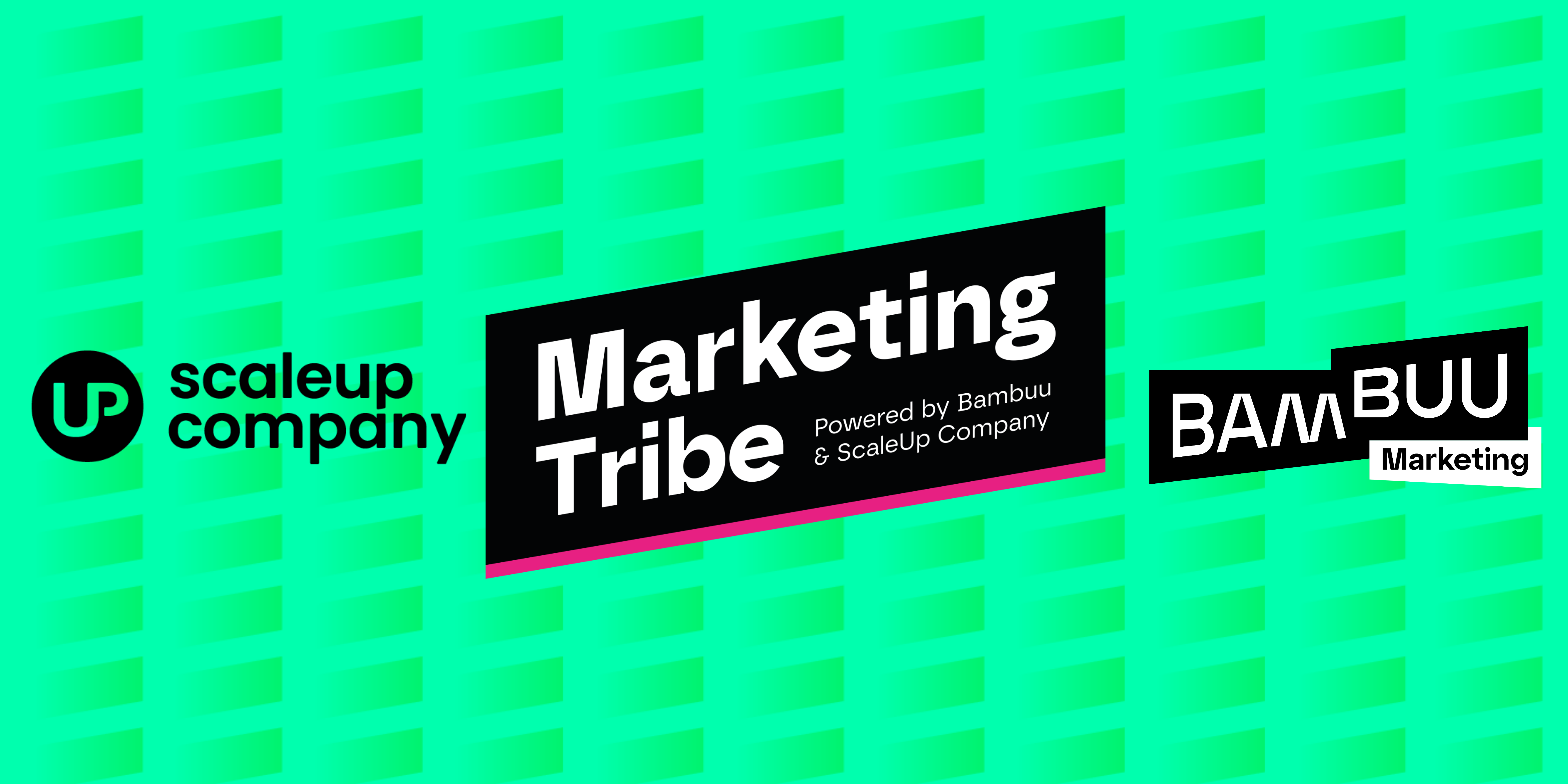 Bambuu & ScaleUp Company lanceren de Marketing Tribe