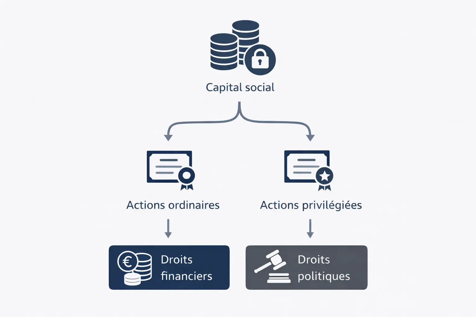 Droits des actionnaires en SAS et organisation du capital social
