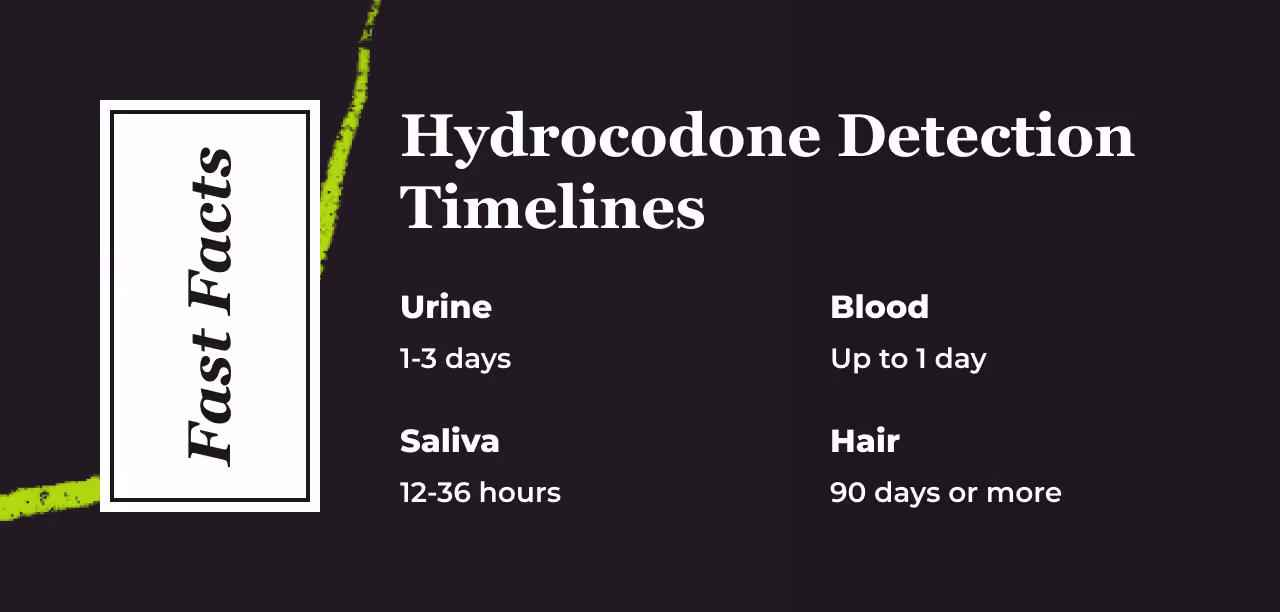 Fast Facts card titled Hydrocodone Detection Timelines. Urine: 1 to 3 days. Saliva: 12 to 36 hours. Blood: up to 1 day. Hair: 90 days or more.