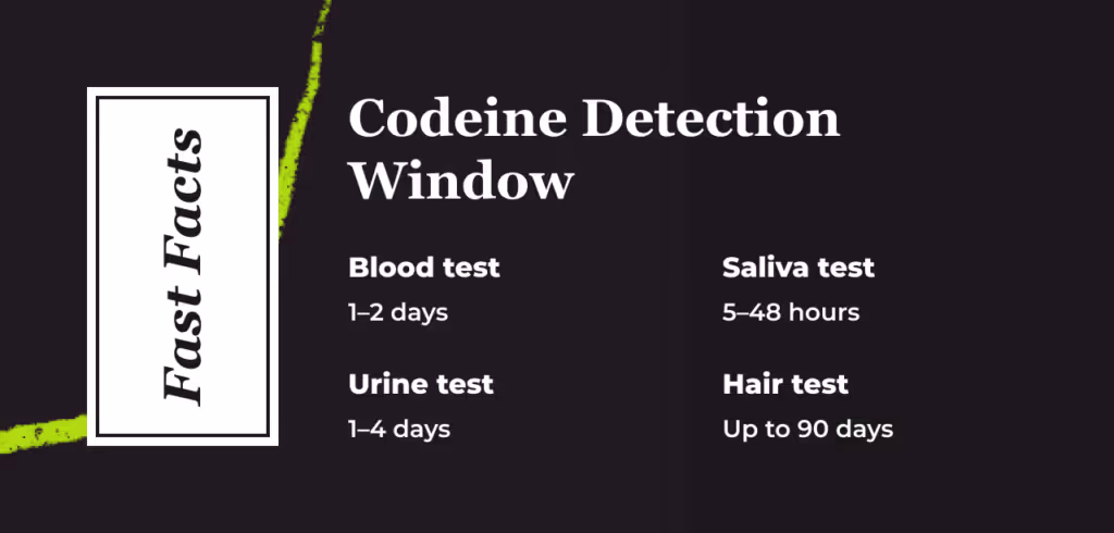 Fast Facts card titled Codeine Detection Window. Blood test: 1 to 2 days. Saliva test: 5 to 48 hours. Urine test: 1 to 4 days. Hair test: up to 90 days.