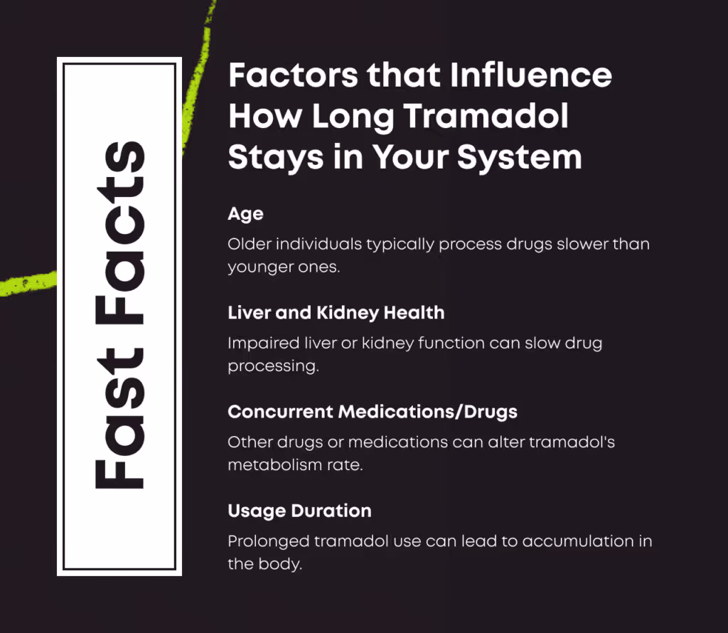 Fast Facts card titled Factors that Influence How Long Tramadol Stays in Your System. Age: older individuals typically process drugs slower than younger ones. Liver and Kidney Health: impaired liver or kidney function can slow drug processing. Concurrent Medications or Drugs: other drugs or medications can alter tramadol metabolism rate. Usage Duration: prolonged tramadol use can lead to accumulation in the body.