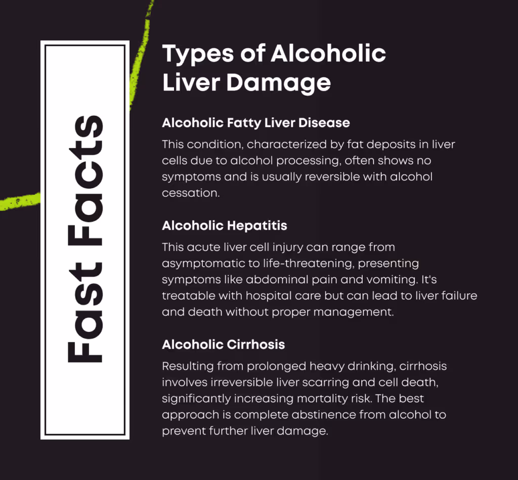 Fast Facts card titled Types of Alcoholic Liver Damage. Alcoholic Fatty Liver Disease: this condition, characterised by fat deposits in liver cells due to alcohol processing, often shows no symptoms and is usually reversible with alcohol cessation. Alcoholic Hepatitis: this acute liver cell injury can range from asymptomatic to life threatening, presenting symptoms like abdominal pain and vomiting. It is treatable with hospital care but can lead to liver failure and death without proper management. Alcoholic Cirrhosis: resulting from prolonged heavy drinking, cirrhosis involves irreversible liver scarring and cell death, significantly increasing mortality risk. The best approach is complete abstinence from alcohol to prevent further liver damage.